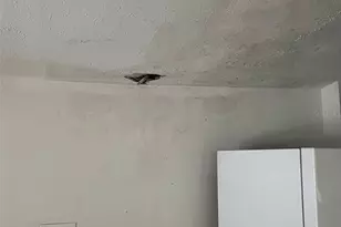 2112 Lee St, Orlando, FL 32805 - Photo 23