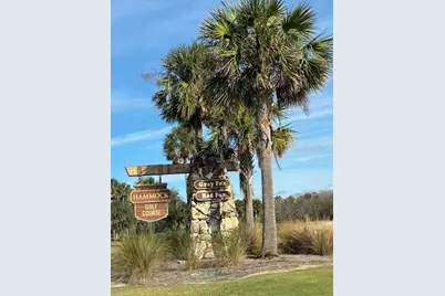 5641 Swallowtail Terrace, The Villages, FL 32163 - Photo 37