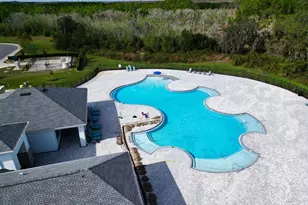 2501 Ribbon Fall Ave, Davenport, FL 33837 - Photo 43