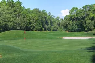 168 W Citrus Springs Blvd, Citrus Springs, FL 34434 - Photo 37