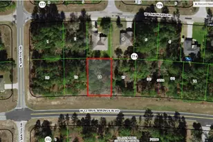 168 W Citrus Springs Blvd, Citrus Springs, FL 34434 - Photo 35