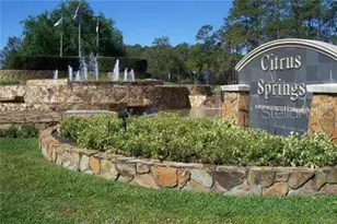 168 W Citrus Springs Blvd, Citrus Springs, FL 34434 - Photo 39