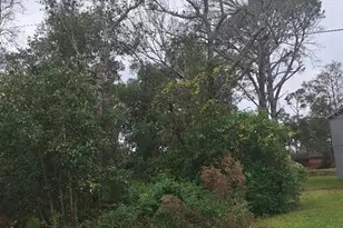 1580 2nd Ave, Deland, FL 32724 - Photo 1