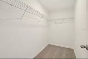 16390 Bird of Paradise Ave, Clermont, FL 34714 - Photo 23