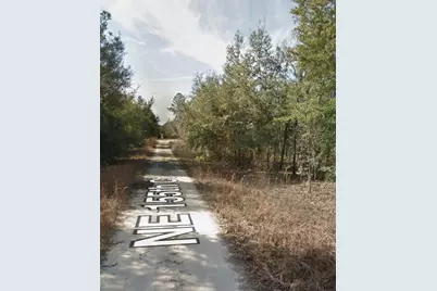 Ne 155th Court, Williston, FL 32696 - Photo 3