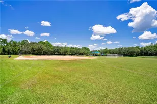 14224 Squirrel Run, Orlando, FL 32828 - Photo 23