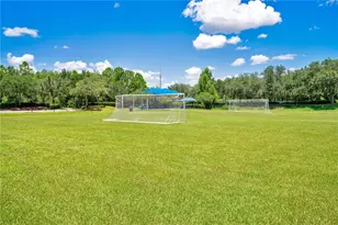 14224 Squirrel Run, Orlando, FL 32828 - Photo 25