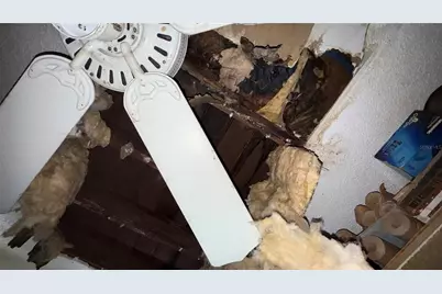 5519 Riordan Way, Orlando, FL 32808 - Photo 31