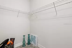 11256 Lemon Lake Blvd, Orlando, FL 32836 - Photo 51