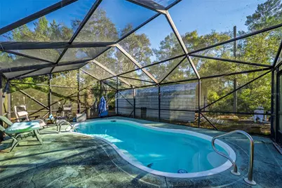 15321 NE 160th Avenue Road, Salt Springs, FL 32134 - Photo 21