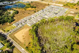 13214 Dendy Wy, Winter Garden, FL 34787 - Photo 55