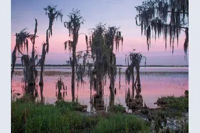 9700 Blandford Road, Orlando, FL 32827 - Photo 19