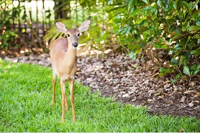 9671 Blandford Road, Orlando, FL 32827 - Photo 13