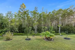 3460 Dovetail Ave, Kissimmee, FL 34741 - Photo 33