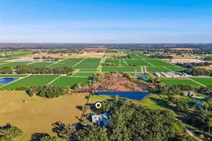 4636 W Knights Griffin Rd, Plant City, FL 33565 - Photo 59