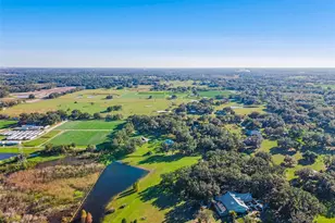 4636 W Knights Griffin Rd, Plant City, FL 33565 - Photo 57