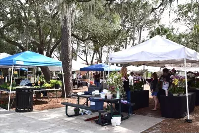 533 Remington Oak Drive, Lake Mary, FL 32746 - Photo 31