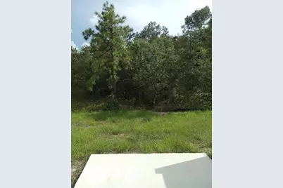 7436 Stone Creek Trail, Kissimmee, FL 34747 - Photo 15