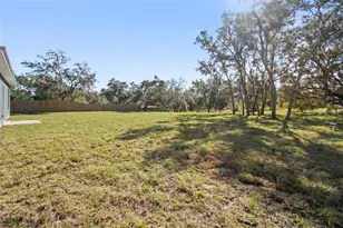 9102 Sheppard Dr, Lake Wales, FL 33898 - Photo 29