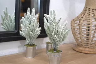 4144 Pelee St, Orlando, FL 32817 - Photo 19