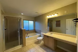 3644 Peppervine Pl, Wesley Chapel, FL 33544 - Photo 15