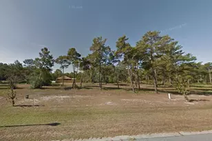 114 White Blossom Trail, Port Saint Joe, FL 32456 - Photo 1