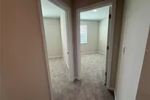 591 Pothos St, Apopka, FL 32703 - Photo 15