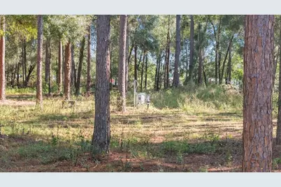 24250 Deep Springs Loop, Eustis, FL 32736 - Photo 7