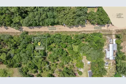 Dunham Ave, Interlachen, FL 32148 - Photo 3