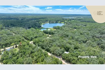 Dunham Ave, Interlachen, FL 32148 - Photo 9