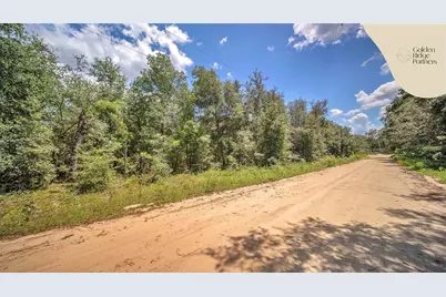 Dunham Ave, Interlachen, FL 32148 - Photo 15