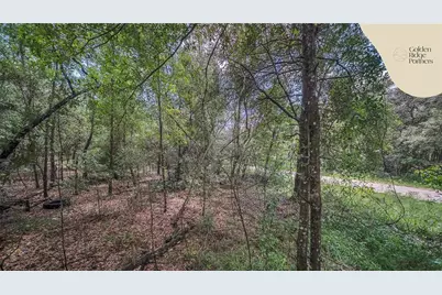 Dunham Ave, Interlachen, FL 32148 - Photo 13