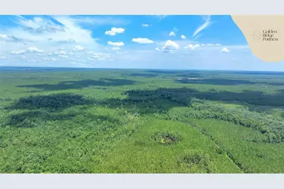 Dunham Ave, Interlachen, FL 32148 - Photo 25