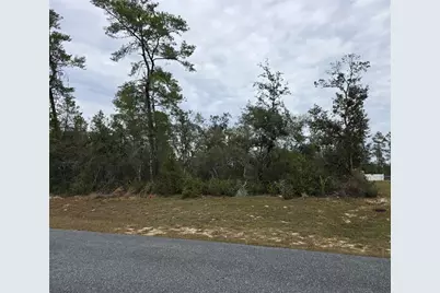 165 SW Street Road, Ocala, FL 34473 - Photo 3