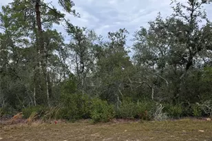 165 SW Street Rd, Ocala, FL 34473 - Photo 1