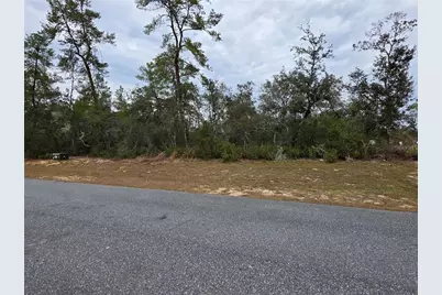 165 SW Street Road, Ocala, FL 34473 - Photo 5