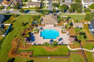 12923 Sawgrass Pine Cir, Orlando, FL 32824 - Photo 49