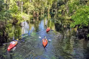 17625 NW 168th Rd, Alachua, FL 32615 - Photo 31