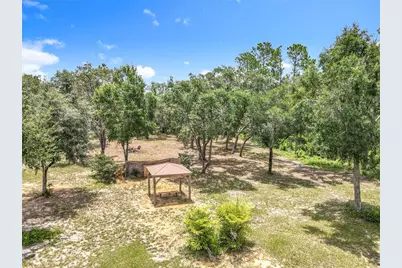 10224 Bay Lake Road, Groveland, FL 34736 - Photo 65