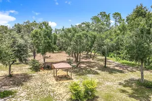 10224 Bay Lake Rd, Groveland, FL 34736 - Photo 65