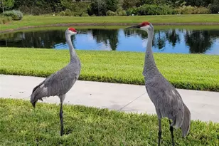 9753 Lost Creek Dr, Winter Garden, FL 34787 - Photo 63