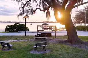 10442 Birch Tree Ln, Windermere, FL 34786 - Photo 51