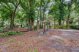 10442 Birch Tree Ln, Windermere, FL 34786 - Photo 55