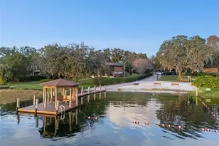 10442 Birch Tree Ln, Windermere, FL 34786 - Photo 47