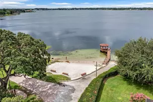 10442 Birch Tree Ln, Windermere, FL 34786 - Photo 45