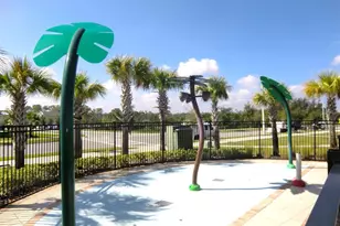 10672 Words Dr, Winter Garden, FL 34787 - Photo 11