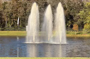 11280 Blue Bay Dr, Orlando, FL 32832 - Photo 37