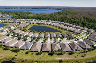 3343 Sagebrush St, Harmony, FL 34773 - Photo 5