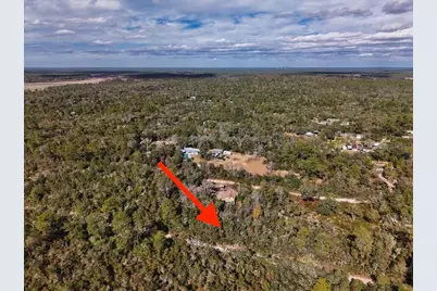 Ne 233rd Lane, Fort Mc Coy, FL 32134 - Photo 19