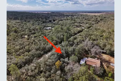 Ne 233rd Lane, Fort Mc Coy, FL 32134 - Photo 7